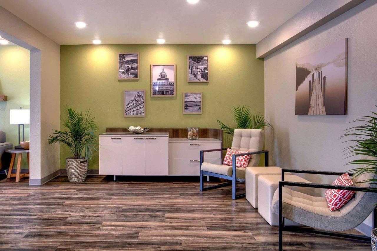 Woodspring Baltimore - Nottingham White Marsh